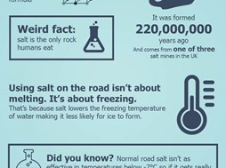 11 things you probably didn't know about salt
